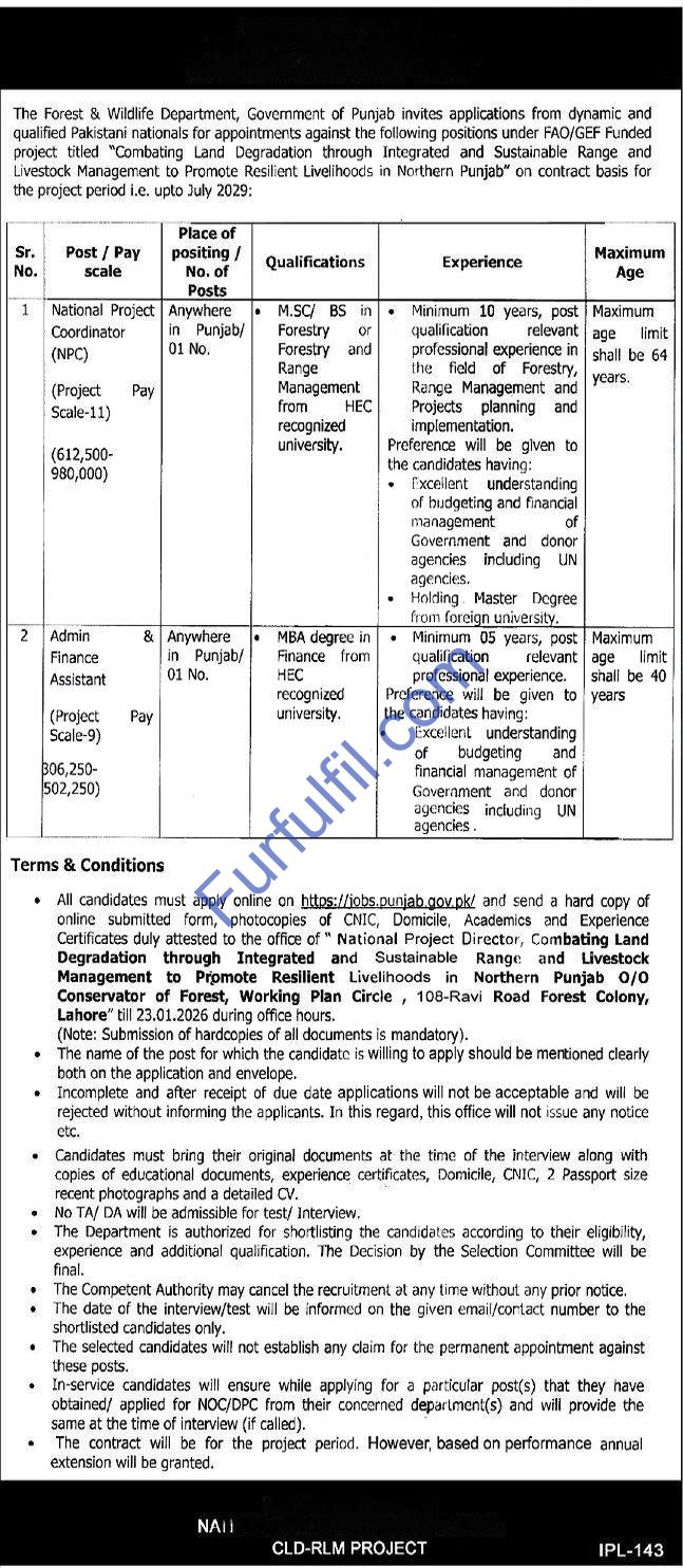 Forest & Wildlife Department Punjab Jobs 2026 – Apply Online for NPC & Admin Positions